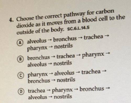 Choose the correct pathway for carbon dioxide as it moves from a blood cell to the outside of the bo