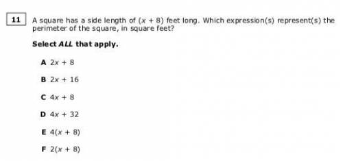 A square has a side length of (x + *) feet long. Which expression(s) represent(s) the perimeter of t