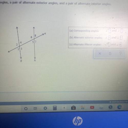 Need help on a test  Angles and triangles quiz