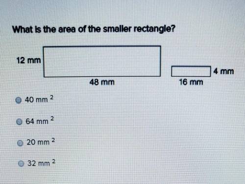 What's the area of the smaller rectangle