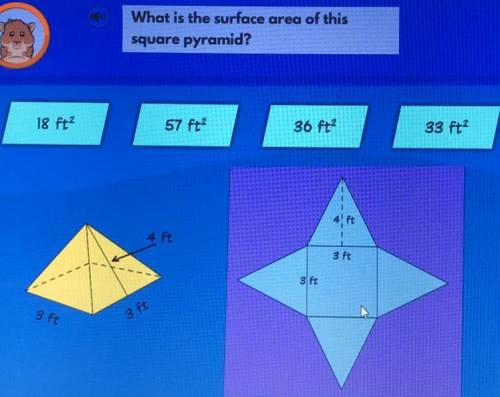 What is the surface area of this square pyramid? (Please Answer ASAP I need it now) I put a picture