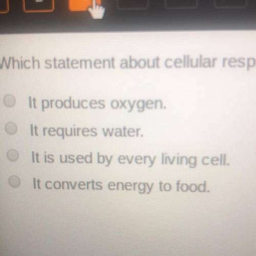 Which statement about cellular respiration is true?