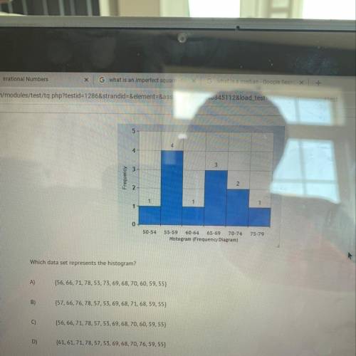 Witch data set represents the histogram?