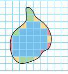 What it will be the approximate area of this irregular shape Explain in your own words, how would yo