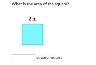 What is the area of the square?