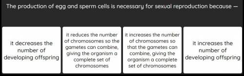 Multiple Choice - the production of egg and sperm cells is necessary for sexual reproduction because