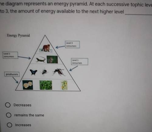 The diagram represents an energy pyramid. At each successive tophic level from1 to 3, the amount of