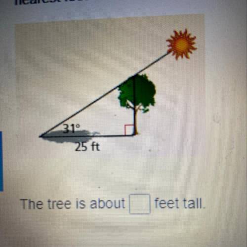 The shadow of a tree measures 25 feet from its base. The angle of elevation to the Sun is 31º How ta