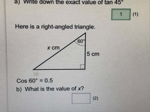 Help me plz plz plz :(  Here is a right angled triangle