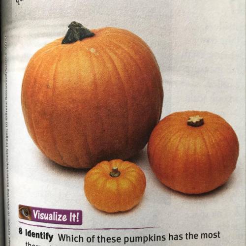 Which of these pumpkins has the most thermal energy? Explain your answer.