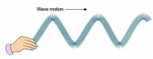 What is the motion of the particles in this kind of wave?A hand holds the left end of a set of waves