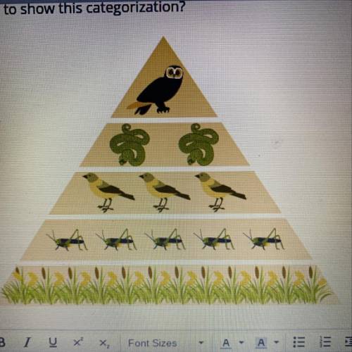 This trophies pyramid shows the different types of organisms in an ecosystem. Why do you think a pyr
