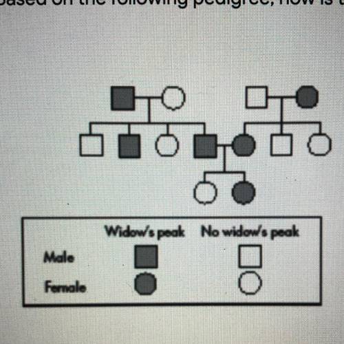 Based on the following pedigree, how is the trait being inherited?  A. sex-linked inheritance  B. co
