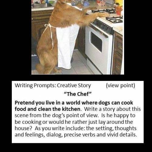 Pretend you live in a world where dogs can cook food and clean the kitchen write a story about this