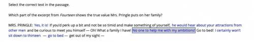 Which part of the excerpt from Fourteen shows the true value Mrs. Pringle puts on her family?