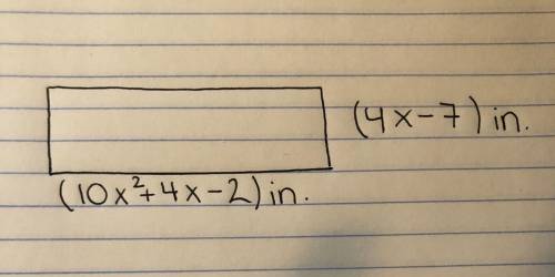Can someone please give me the perimeter and area answer SHOW WORK