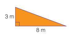 Find the area of the triangle. Enter your answer in the box. I really need help with this, the image