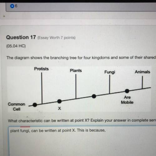 Question 17 (Essay Worth 7 points) (05.04 HC) The diagram shows the branching tree for four kingdoms