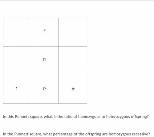 Complete this Punnett square enter your answer in the space provided.
