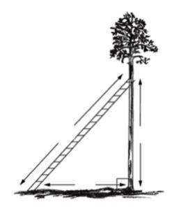 What is the distance in feet between the ground and the top of the ladder
