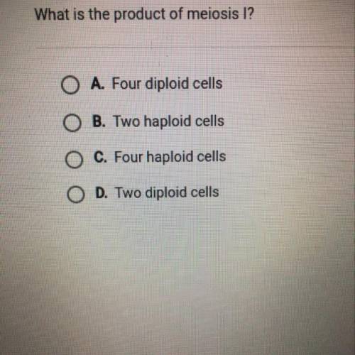 What is the product of meiosis 1 ?