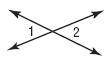 What is the classification of the pair of angles shown?