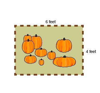 Isabella wants to put a fence around her pumpkin patch.  How much fencing does Isabella need? 20 fe