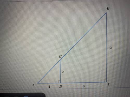 Solve similar triangles can someone please answer please