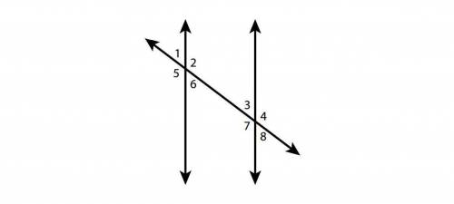 The diagram shows two parallel lines intersected by a transversal. Tell whether each sentences is T