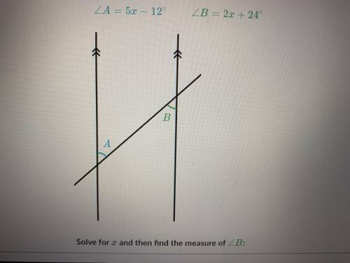 Equations with angles can someone please answer pleaseeee