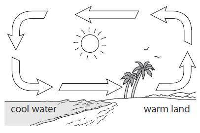 The diagram shows how air moves near the coast on a warm day. Explain why air moves as shown on the