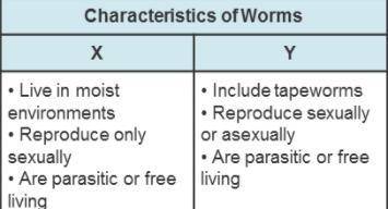 Georgia made a study chart about worms. Which headings best complete the chart? X: Flatworms Y: Seg