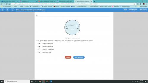 Can someone help me with these questions please I don't understand then...