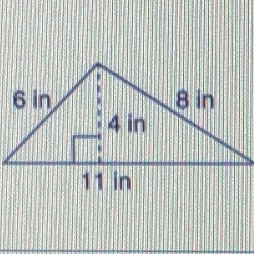 What is the area of the triangle in inches?