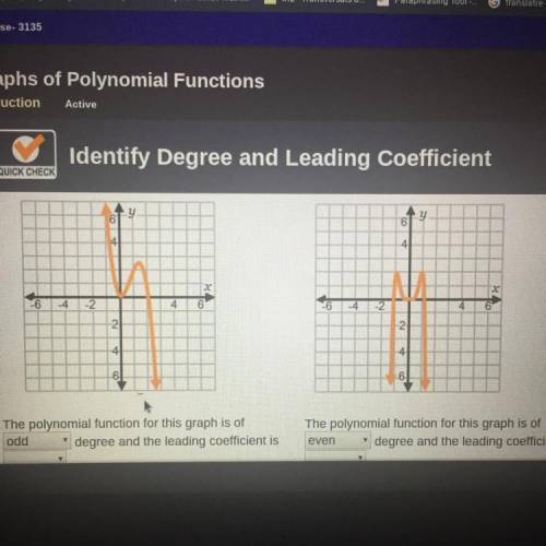 The polynomial function for this graph is of degree