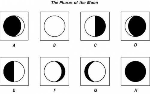 What are the phases shown in A and D called?