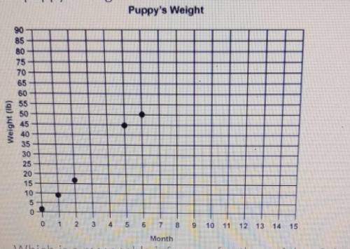 Bryan's puppy has been gaining weight for the last year. The graph shows data aboutthe puppy's weig