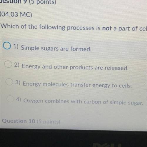 Which of the following processes is not apart of cellular respiration