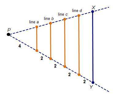 Segment Line segment X Y is dilated using a scale factor of Two-thirds through P. Which segment sho