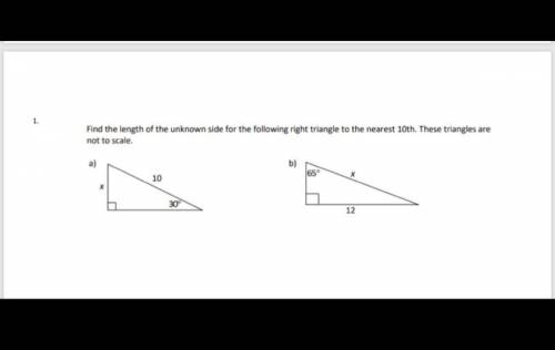 Please help me with this question please help