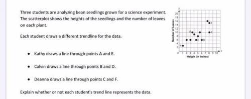 Three students are analyzing bean seedlings grown for a science experiment. The scatterplot shows t