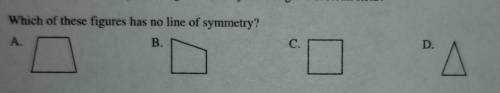 Which of these figures has no line of symmetry