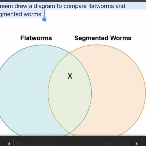 Which label belongs in the area marked X? Kareem drew a diagram to compare flatworms and segmented