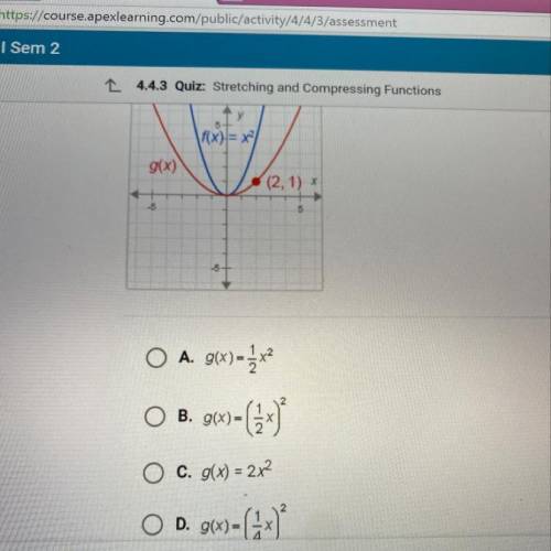 Can someone help me ASAP please!! If f(x)=x^2 what is g(x)?