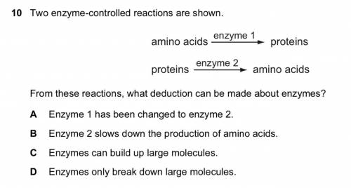 Two enzyme-controlled reactions are shown.

From these reactions, what deduction can be made about