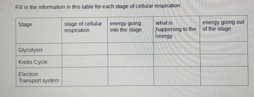 PLEASE HELP Fill in the info in this table for each stage of cellular respiration.