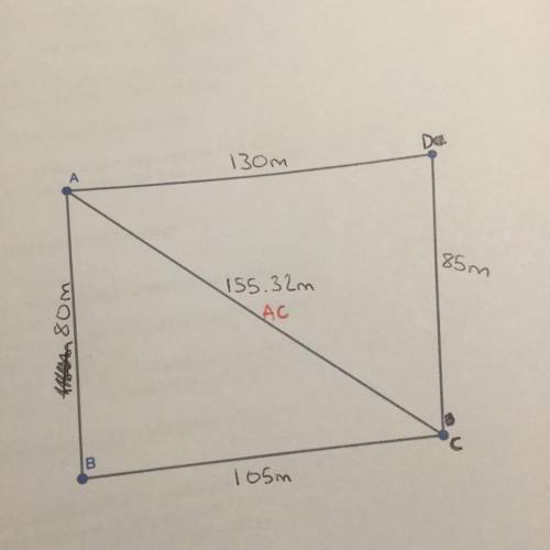 What is the area of the two triangles and the quadrilateral