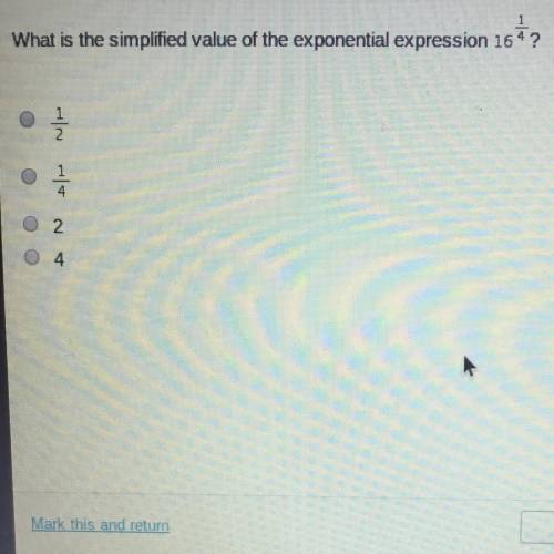 What is the simplified value of the exponential expression 16^1/4
1/2
1/4
2
4