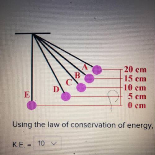 Using the law of conservation of energy, what is the kinetic energy at D?