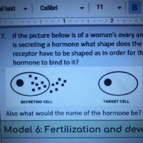 If the picture below is of a woman's ovary and secreting a hormone what shape does the receptor hav
